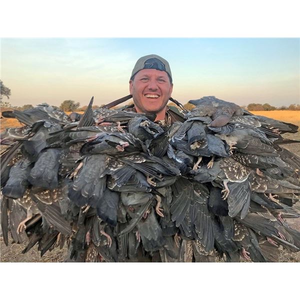 DOVE + PIGEON HUNTING in ARGENTINA 5 Hunters / 5 Hunting Days in SDE