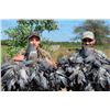 Image 2 : DOVE + PIGEON HUNTING in ARGENTINA 5 Hunters / 5 Hunting Days in SDE