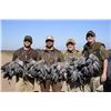 Image 4 : DOVE + PIGEON HUNTING in ARGENTINA 5 Hunters / 5 Hunting Days in SDE