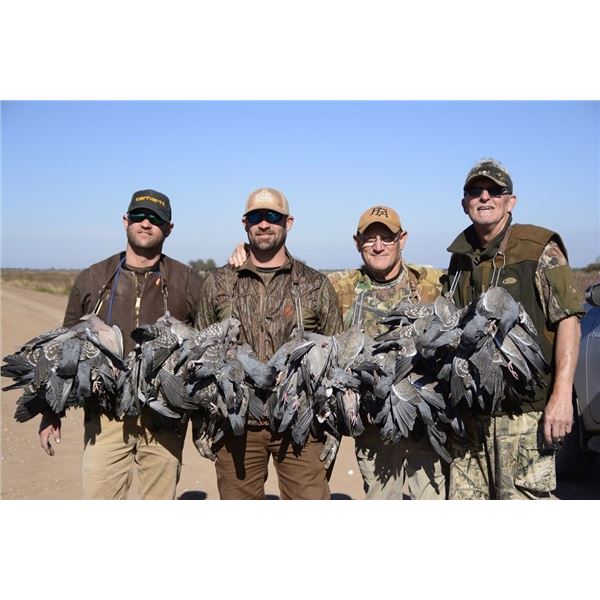 PIGEON HUNTING IN ARGENTINA 3 Hunters / 3 Hunting Days in SDE