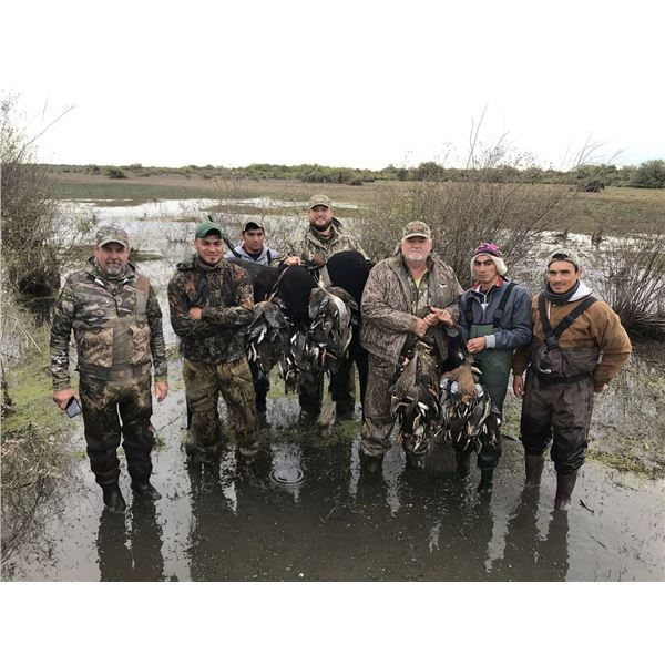 DOVE + DUCK HUNTING in ARGENTIINA 3 hunters / 4 hunting days in SDE