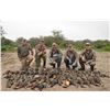 Image 2 : DOVE + DUCK HUNTING in ARGENTIINA 3 hunters / 4 hunting days in SDE