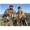 Image 3 : DOVE + DUCK HUNTING in ARGENTIINA 3 hunters / 4 hunting days in SDE