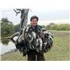 Image 8 : DOVE + DUCK HUNTING in ARGENTIINA 3 hunters / 4 hunting days in SDE