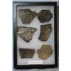 Image 1 : Native American pottery shards and bone tools, framed