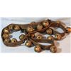Image 1 : Sleigh bells, 2 straps