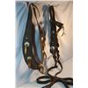 Image 3 : Studded headstall and martingale