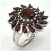 Image 2 : Silver Garnet(3.9ct) Rhodium Plated Ring (~weight 5.4g) (Estimated Selling Price from $39 to $78)