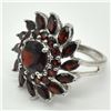 Image 5 : Silver Garnet(3.9ct) Rhodium Plated Ring (~weight 5.4g) (Estimated Selling Price from $39 to $78)