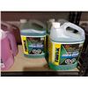 Image 3 : Windshield Washer fluid assorted-Winter lot of 4 x 3.78L