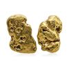 Image 1 : Lot of 4.46 Grams Total Weight Yukon Gold Nuggets