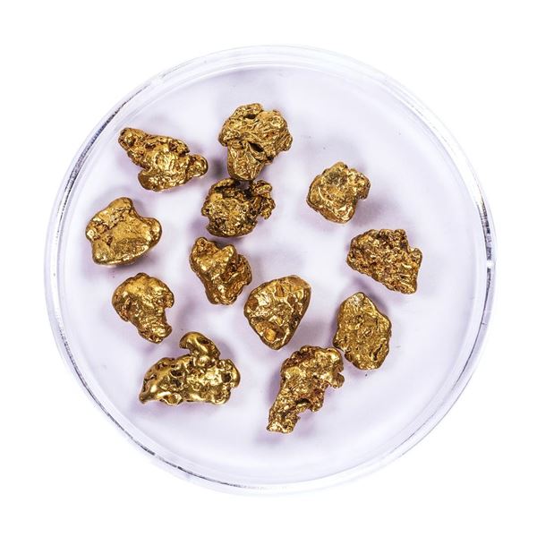 Lot of Gold Nuggets 9.05 Grams Total Weight