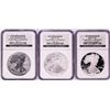 Image 1 : 2006 $1 American Silver Eagle 20th Anniversary (3) Coin Set NGC MS70/PF70/PF70 Ultra Cameo