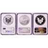 Image 2 : 2006 $1 American Silver Eagle 20th Anniversary (3) Coin Set NGC MS70/PF70/PF70 Ultra Cameo