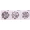 Image 1 : Lot of 1999-2001 $1 American Silver Eagle Coins