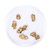 Image 2 : Lot of Gold Nuggets 3.34 grams Total Weight