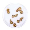 Image 2 : Lot of Gold Nuggets 3.74 grams Total Weight