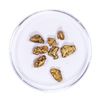 Image 1 : Lot of Gold Nuggets 3.62 grams Total Weight