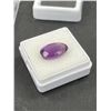 Image 2 : Beautiful Dark Amethyst 7.575ct 14.66x9.57x8.41mm-Oval Cut-Loupe Clean-Uruguay-Untreated