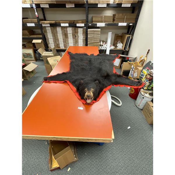 6 Ft Long x 5 Ft Wide Bear Rug with Paw Repairs. LOCAL PICK UP ONLY