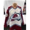 Image 1 : NHL Starter Size Medium Colorado Avalanche Sakic Jersey