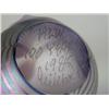 Image 8 : A POLYCHROME-DECORATED GLASS PAPERWEIGHT