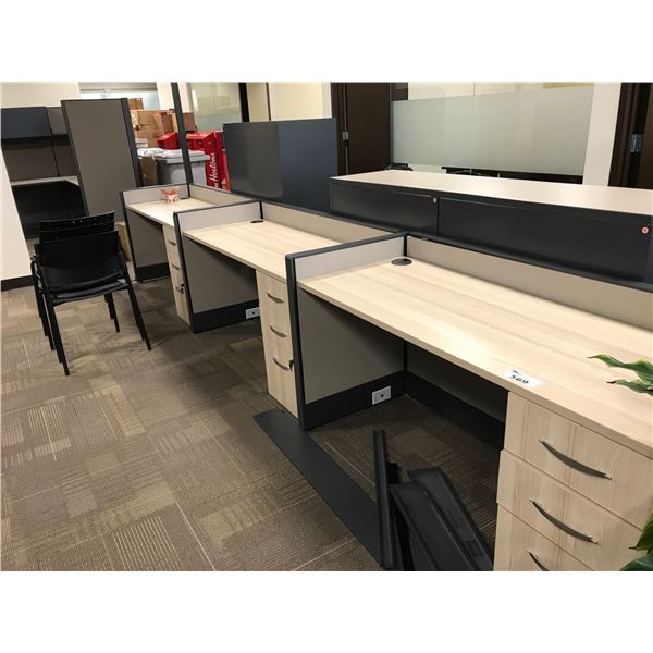 LOT OF THREE 5 X 2' LOW PANEL CALL CENTER STATIONS
