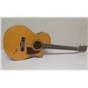 Image 1 : Ibanez Acoustic Electric 6 String Guitar