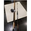 Image 2 : 2 FISHING RODS - DAIWA AND APOLLO
