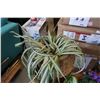 Image 2 : 4 ARTIFICIAL PLANTS