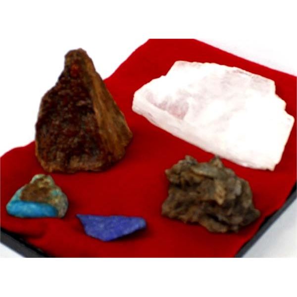Collection of 5 Mineral & Coral Specimans