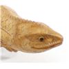 Image 4 : Indonesian Carved Chinaberry Wood Lizard
