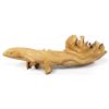 Image 5 : Indonesian Carved Chinaberry Wood Lizard