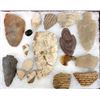 Image 2 : Framed Shadowbox Display of Prehistoric Artifacts