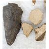 Image 8 : Framed Shadowbox Display of Prehistoric Artifacts