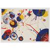 Image 11 : Sam Francis - "The Pasadena Box"