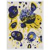 Image 9 : Sam Francis - "The Pasadena Box"