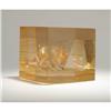 Image 2 : Jan de Swart - Lucite box