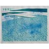 Image 1 : David Hockney Lithograph of Water made of thick..