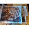 Image 2 : String art (framed),  Tiger painting print (x2, artist: Gail Adams)