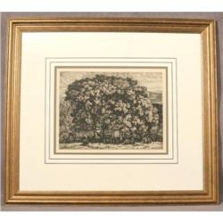 Luigi Lucioni, etching
