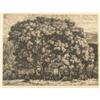Image 2 : Luigi Lucioni, etching