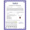Image 2 : Genuine 13.02 ctw Ruby & Diamond Necklace 14KT White Gold - REF-42W2Y