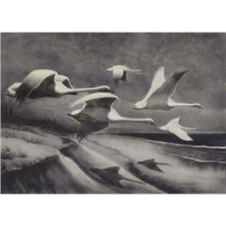 Rex Brasher, Lithograph