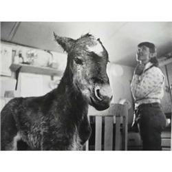 Myron Woods, Photographs