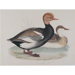 Benjamin Fawcett, Lithograph