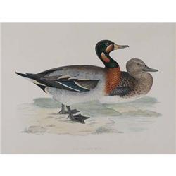 Benjamin Fawcett, Lithograph