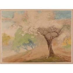 John W. Cotton, Aquatint