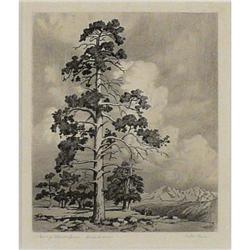 George E. Burr, Etching