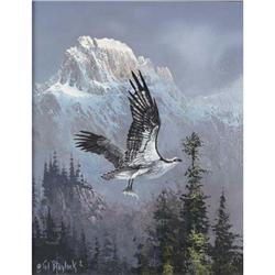 Ted Blaylock, Oil on Board